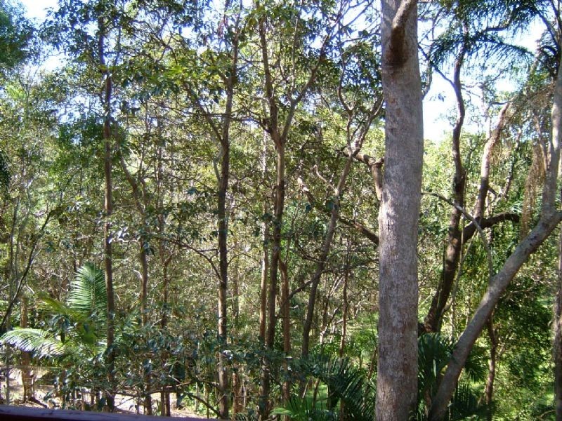Landsborough QLD 4550