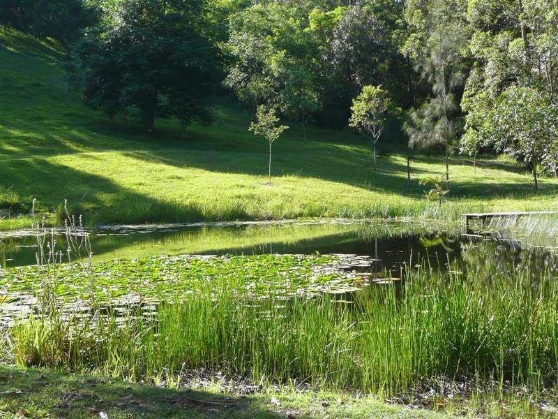 Landsborough QLD 4550