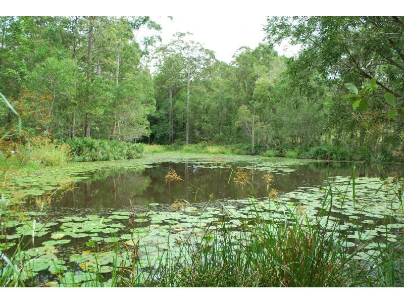 126 Eudlo Road, Mooloolah Valley QLD 4553
