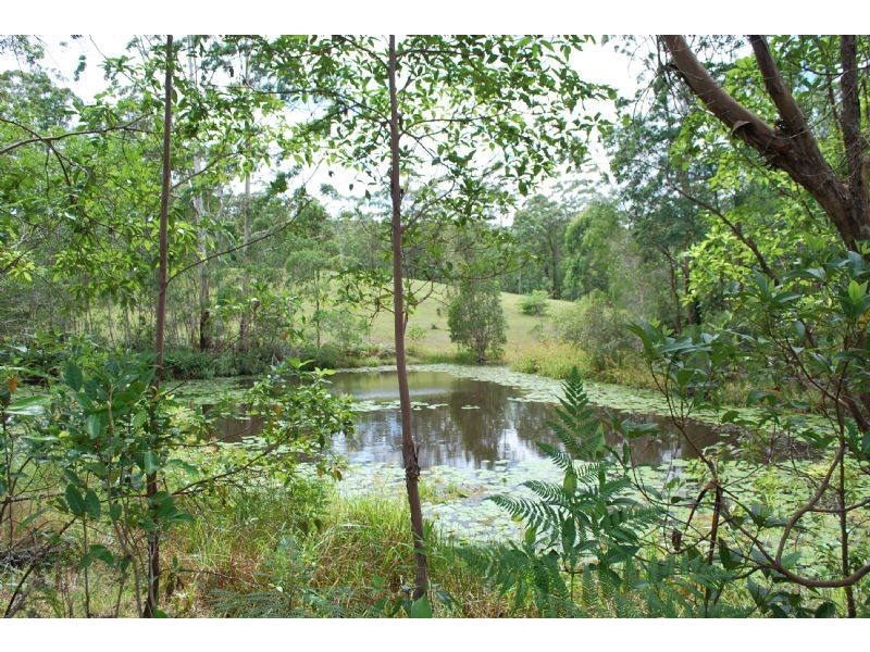 126 Eudlo Road, Mooloolah Valley QLD 4553