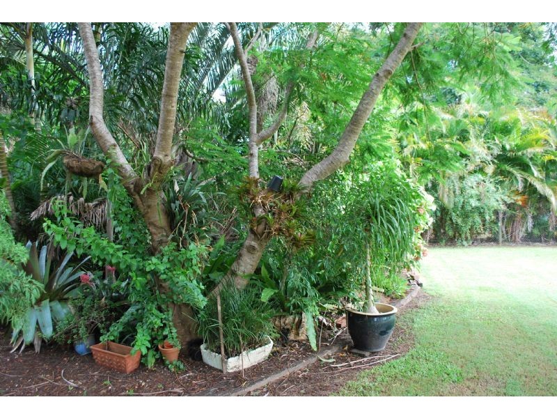 Glass House Mountains QLD 4518