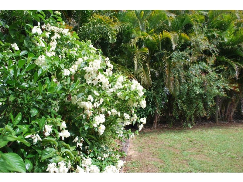 Glass House Mountains QLD 4518