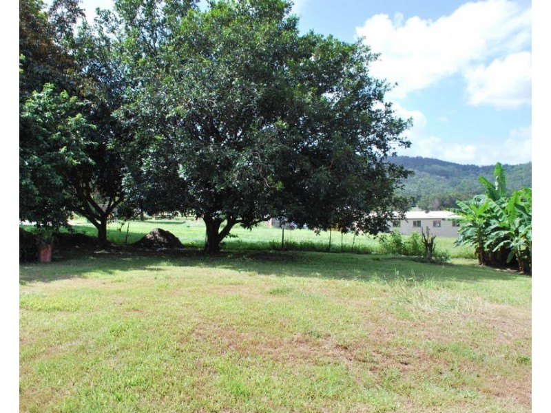 Mooloolah Valley QLD 4553