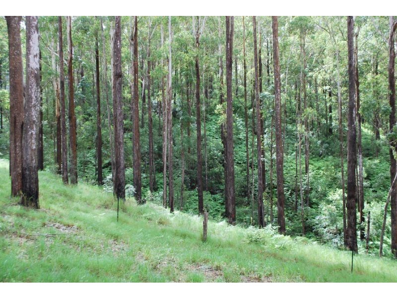 Booroobin QLD 4552