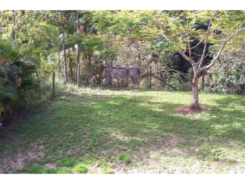 Mooloolah Valley QLD 4553