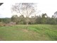 Crohamhurst QLD 4519