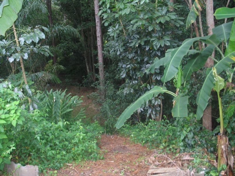 Mooloolah Valley QLD 4553