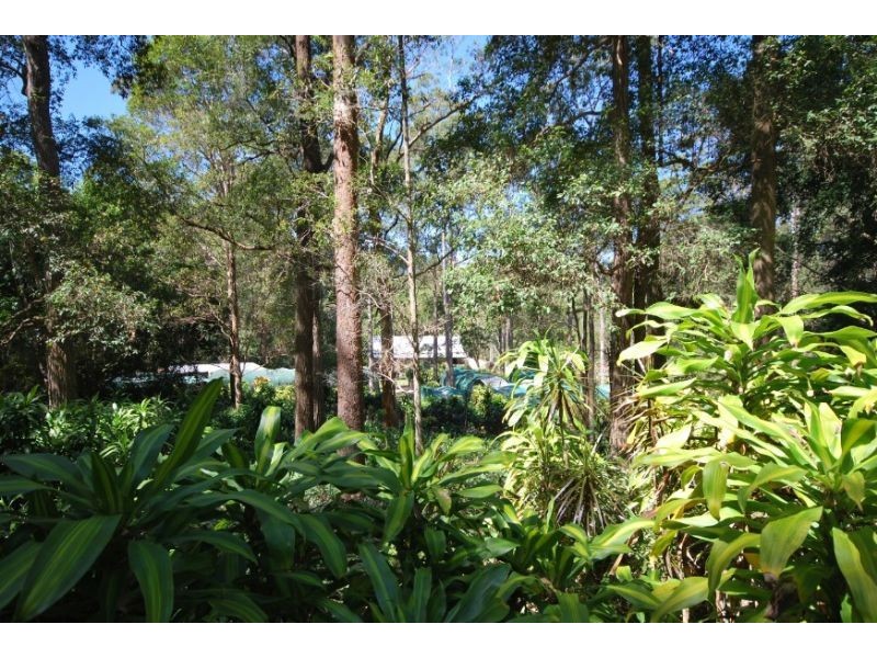 Landsborough QLD 4550