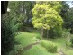 Maleny QLD 4552