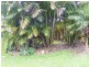 Mooloolah Valley QLD 4553