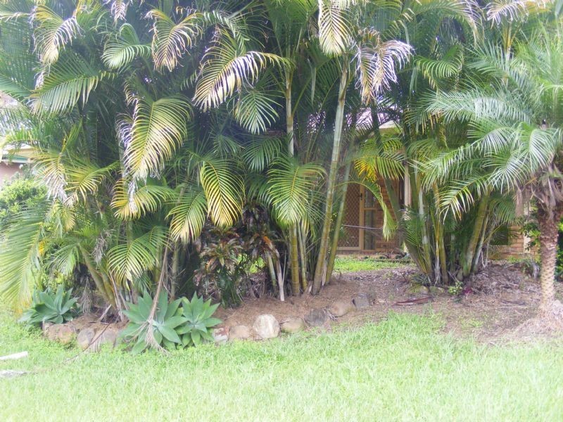 Mooloolah Valley QLD 4553
