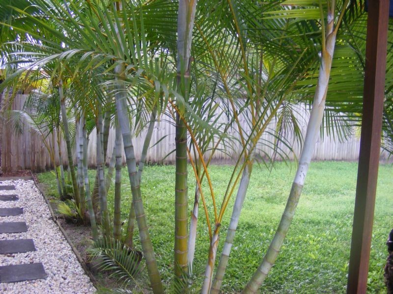 Landsborough QLD 4550