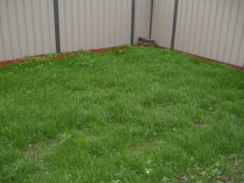 11 Bradman Drive, Tarneit VIC 3029