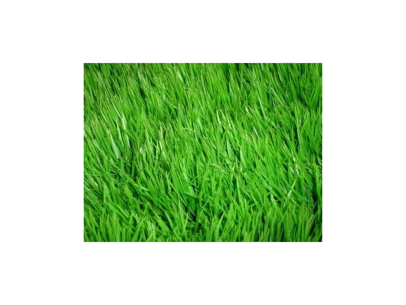 LOT 5 Rainone Place, Tarneit VIC 3029