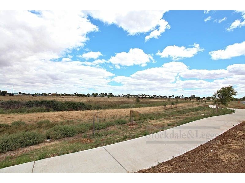 142 Riversdale Drive, Tarneit VIC 3029