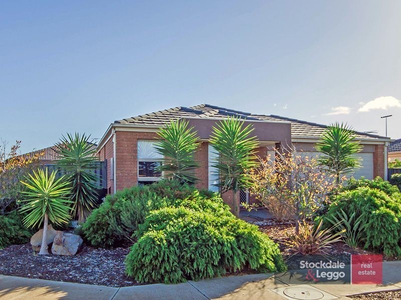 15 Circuit Drive, Truganina VIC 3029