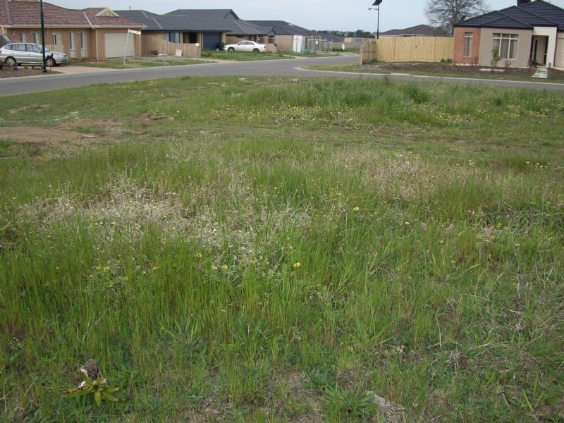 10 JILLIAN PLACE, Hastings VIC 3915