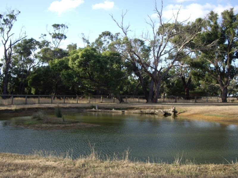 162 WOOLLEYS ROAD, Bittern VIC 3918