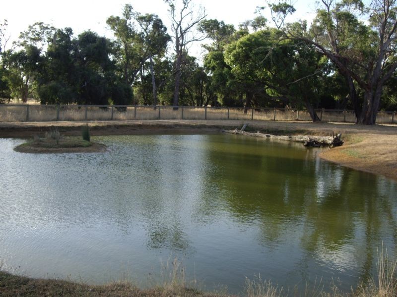 162 WOOLLEYS ROAD, Bittern VIC 3918