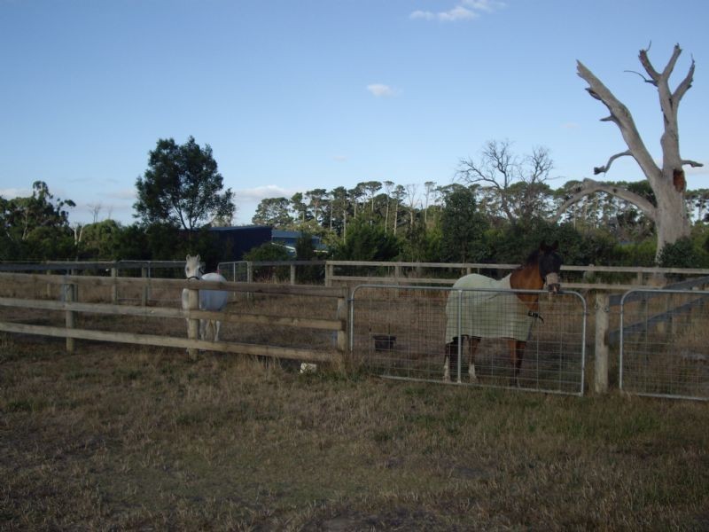 162 WOOLLEYS ROAD, Bittern VIC 3918