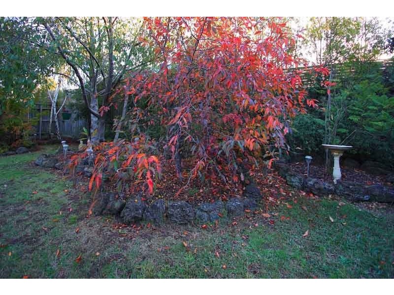 20 BRYDON COURT, Hastings VIC 3915