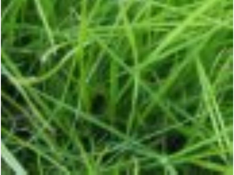 2/233 Marine Parade, Hastings VIC 3915