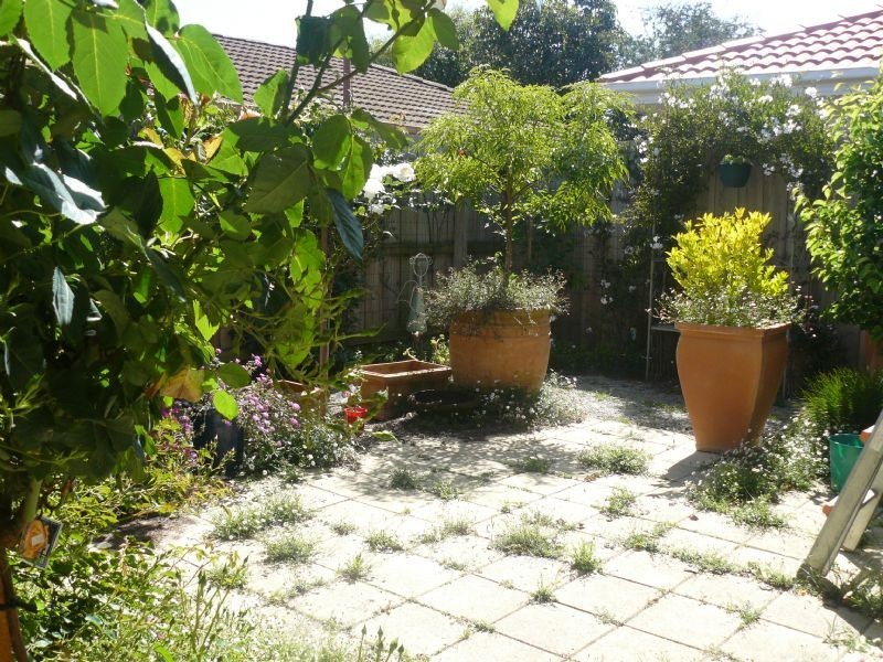 2/8 Gold Court, Hastings VIC 3915