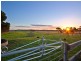 Pearcedale VIC 3912