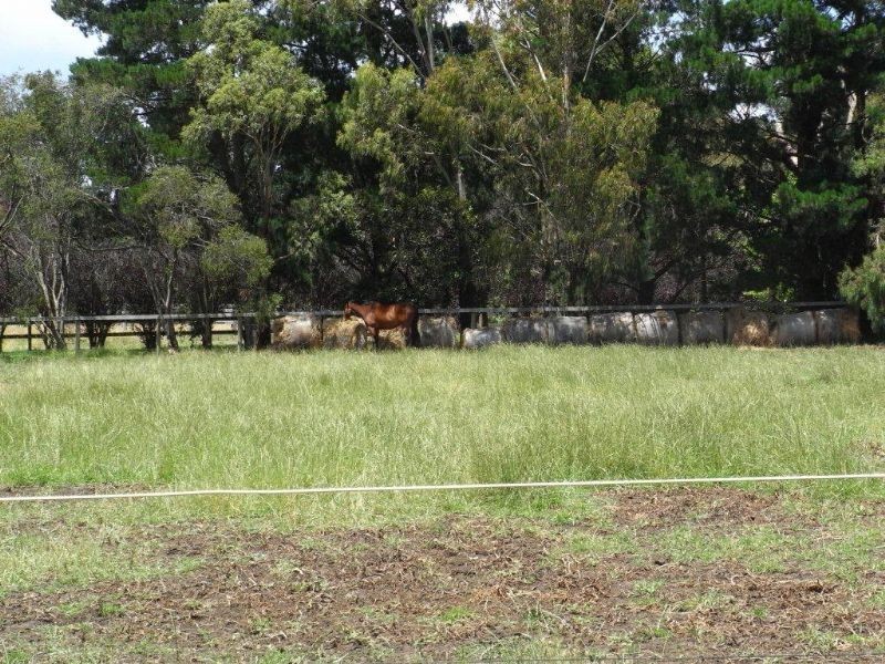 71 Hunts Rd, Balnarring VIC 3926