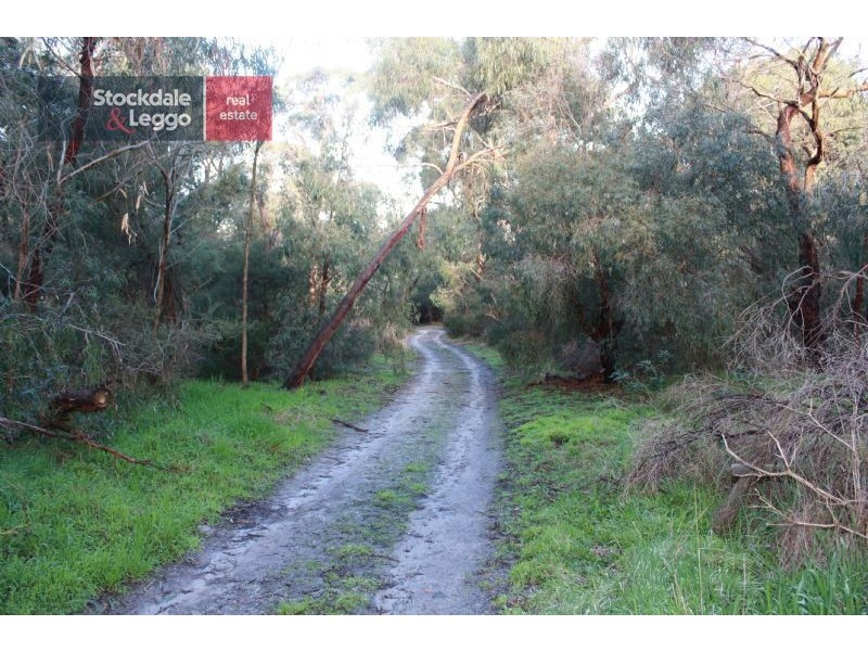 13 Bungower Road, Somerville VIC 3912