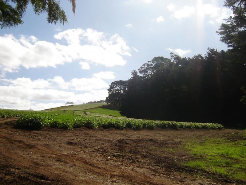 0 Sunnycreek Road, Trafalgar VIC 3824