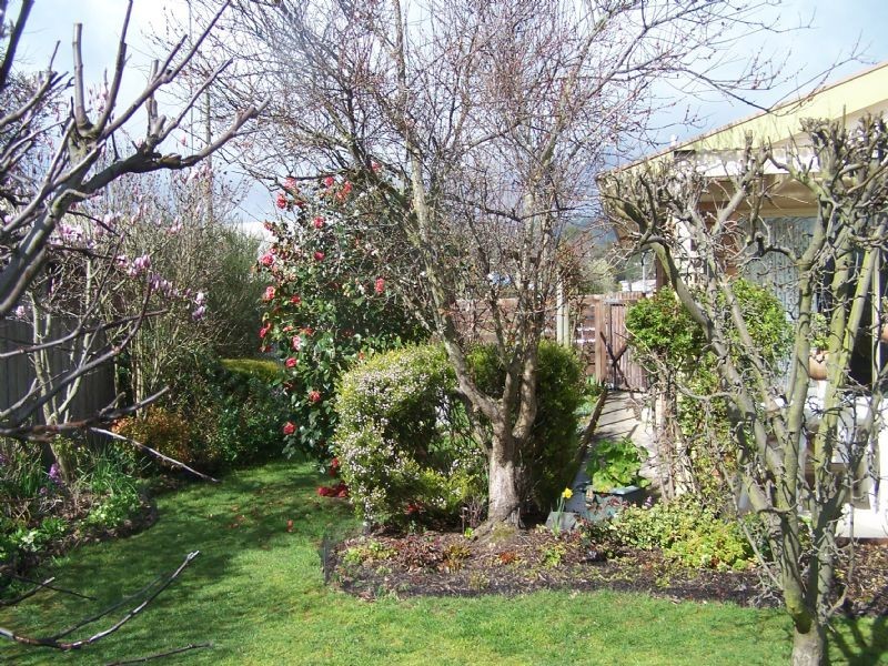 23 Acacia Court, Yarragon VIC 3823