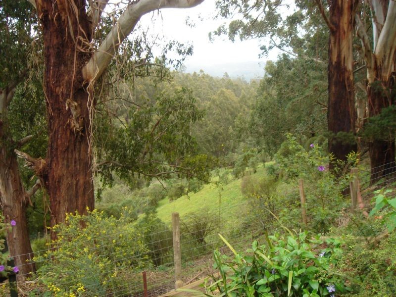 1174 Leongatha Yarragon Road, Yarragon VIC 3823