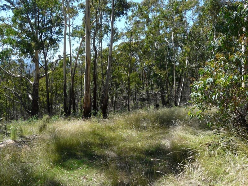 00 Cnr Walhalla Rd & Sullivan’s Trk, Aberfeldy VIC 3825