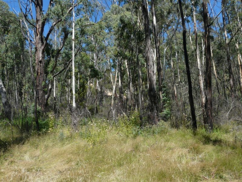 00 Cnr Walhalla Rd & Sullivan’s Trk, Aberfeldy VIC 3825