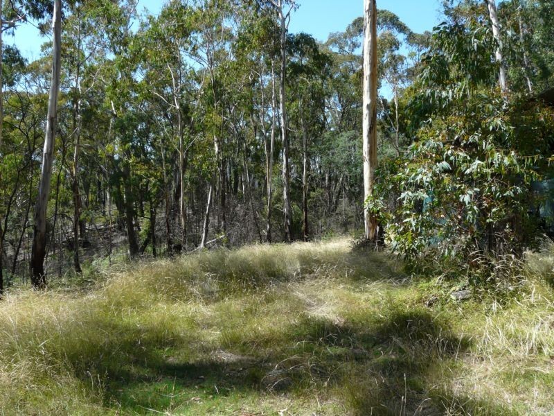 00 Cnr Walhalla Rd & Sullivan’s Trk, Aberfeldy VIC 3825