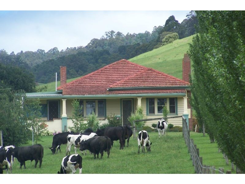 37 Roches Road, Trafalgar VIC 3824
