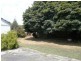 56 Contingent Street, Trafalgar VIC 3824
