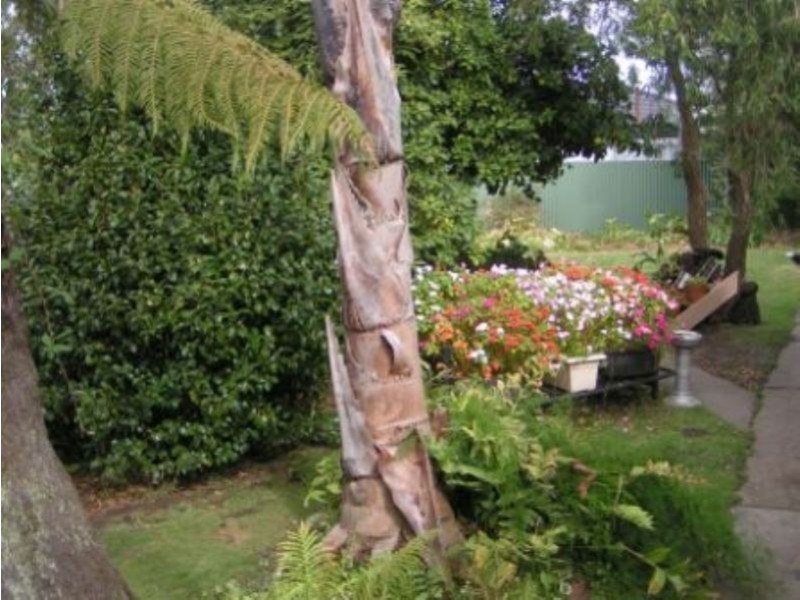 5 Brown Street, Trafalgar VIC 3824