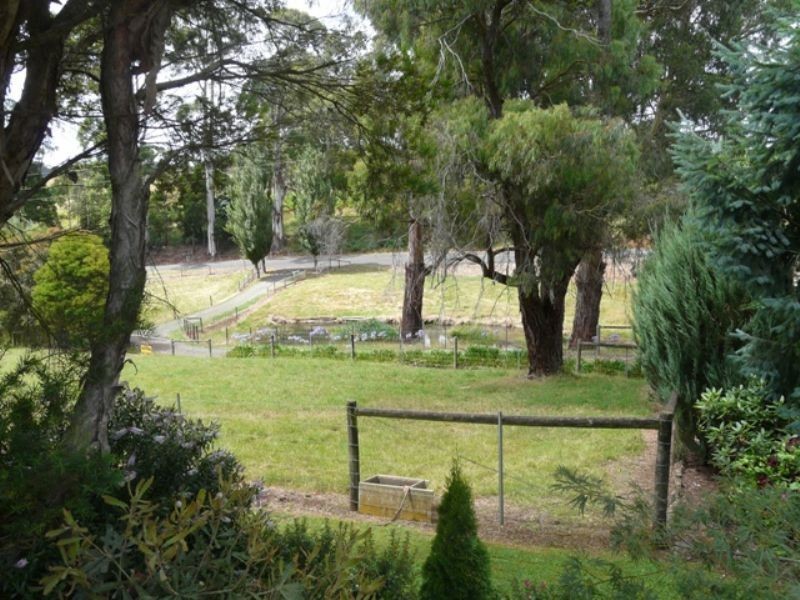 1016 Morwell Road, Thorpdale VIC 3835