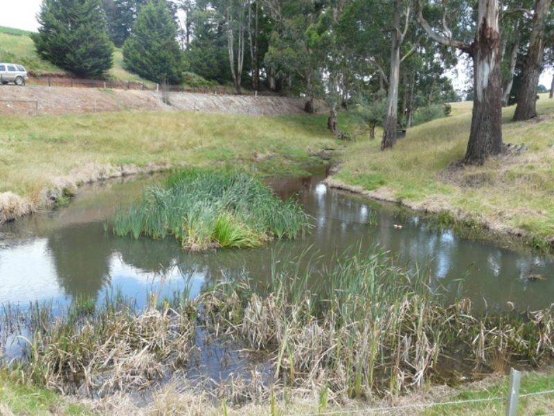 1016 Morwell Road, Thorpdale VIC 3835