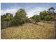 3/40 Highview Road, Frankston VIC 3199