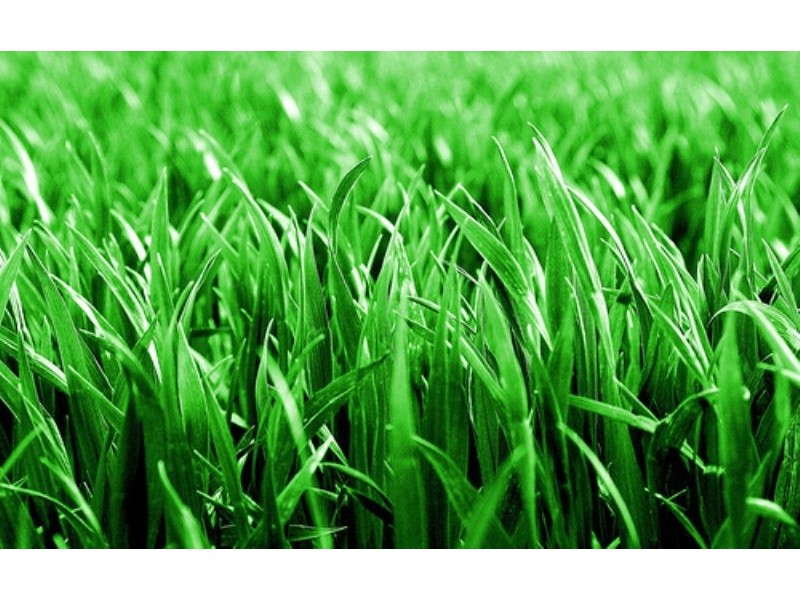 19 Coogee Avenue, Frankston VIC 3199