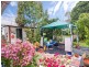 88 Williams Street, Frankston VIC 3199