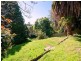15 The Ridge, Frankston South VIC 3199