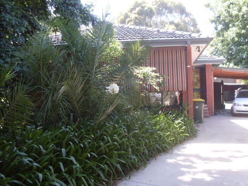 442 McClelland Drive, Langwarrin VIC 3910