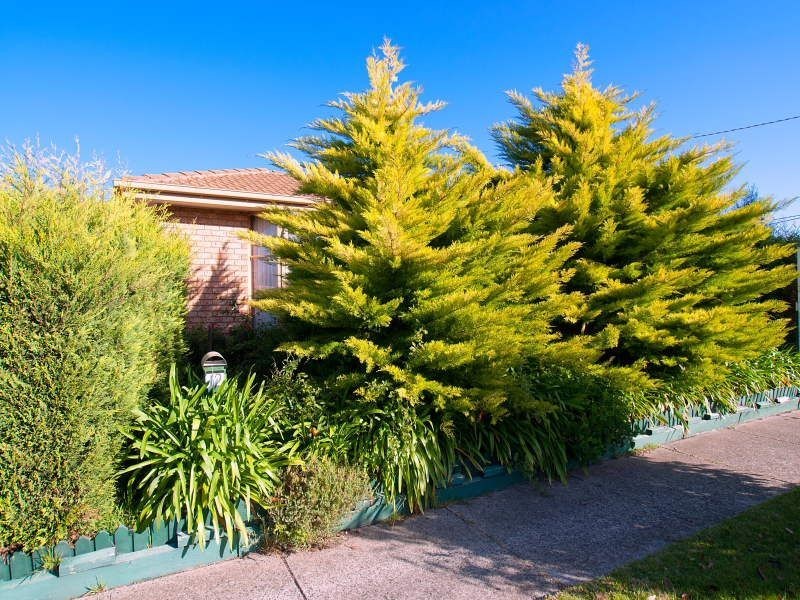 12 Pardalote Ave, Carrum Downs VIC 3201
