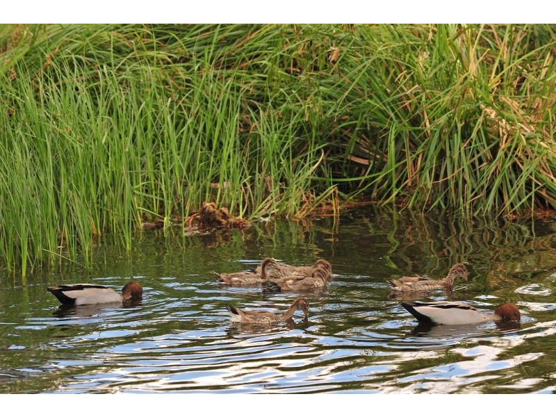 44 High Street, Frankston VIC 3199