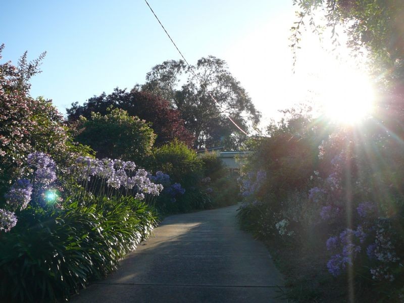 71 Volitans Avenue, Mount Eliza VIC 3930