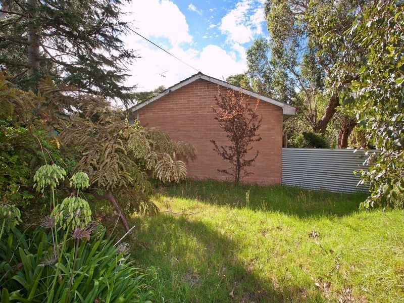 19 Robinia Street, Frankston VIC 3199